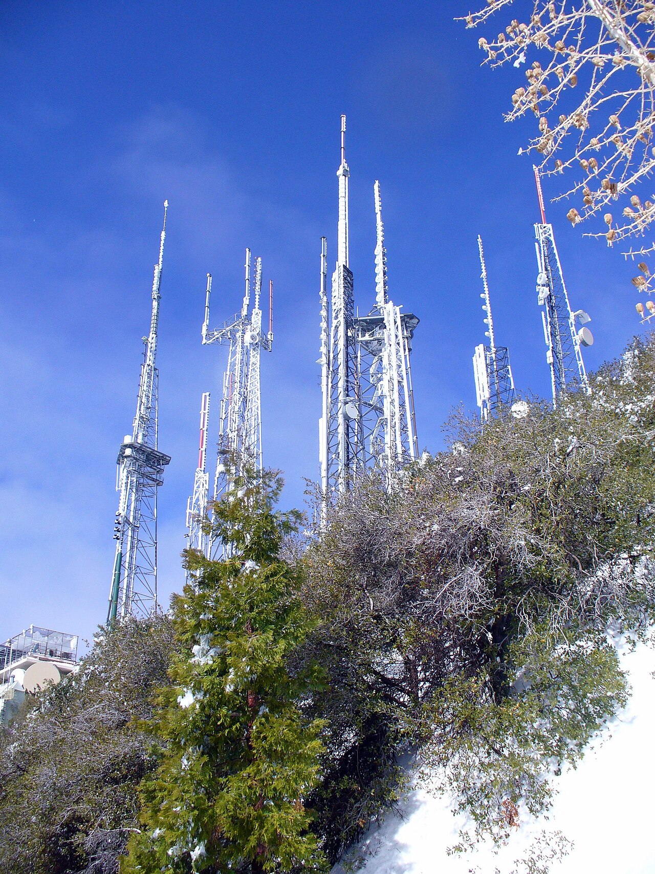 Real-world photo of a 5/8-Wave Vertical in use