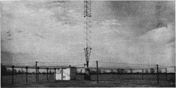 Real-world photo of a Quarter-Wave Monopole in use